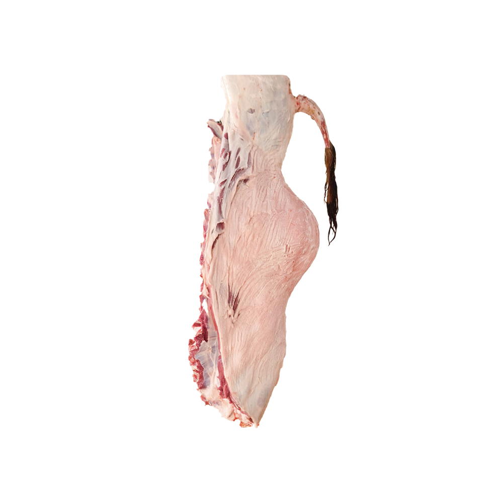 ربع حوار_0
