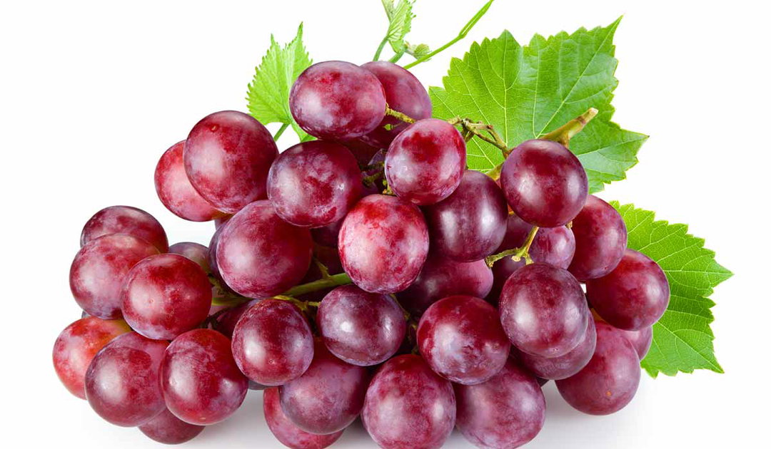 العنب الاحمر