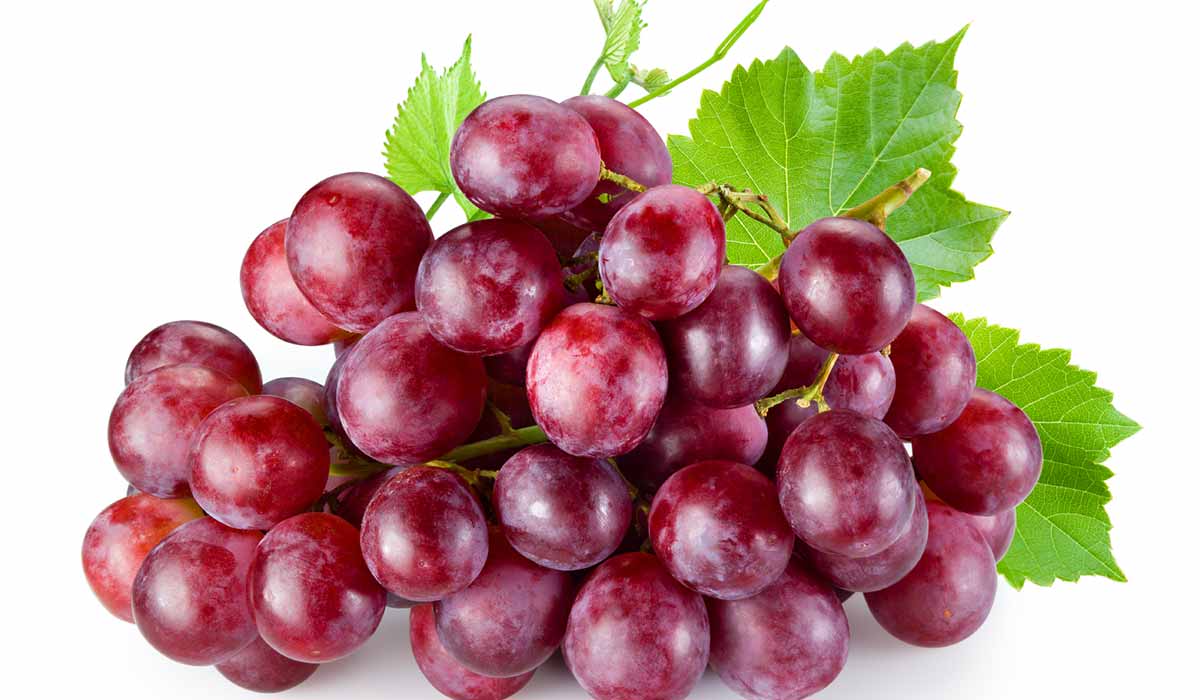 العنب الاحمر_0