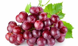العنب الاحمر