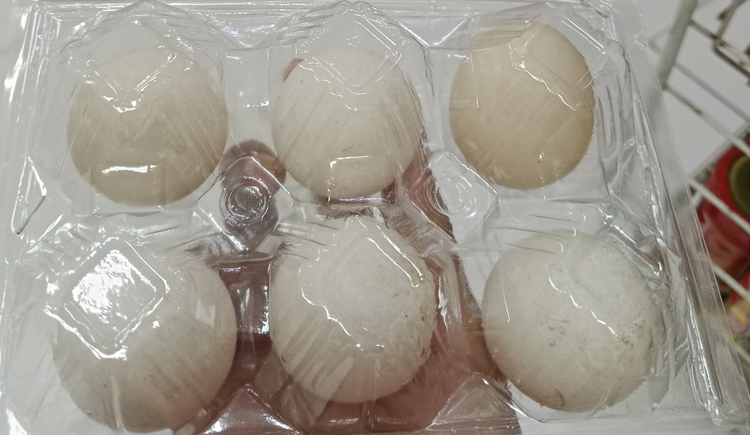 TELUR BEBEK 6 PCS