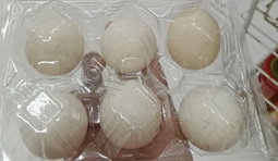 TELUR BEBEK 6 PCS