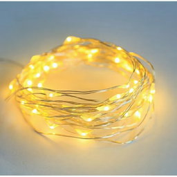 LED Light