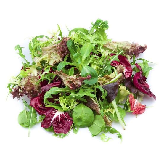 Salad mix ໃບສະຫລັດປະສົມ_1