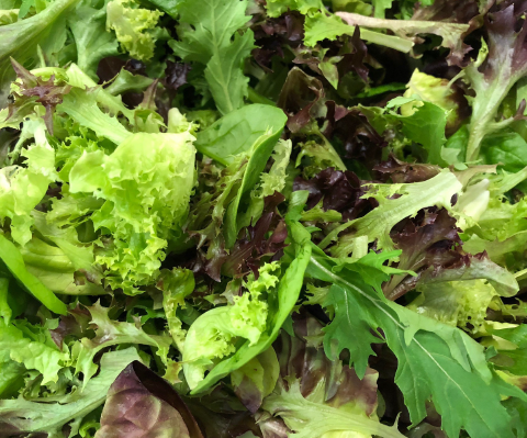 Salad mix ໃບສະຫລັດປະສົມ_3
