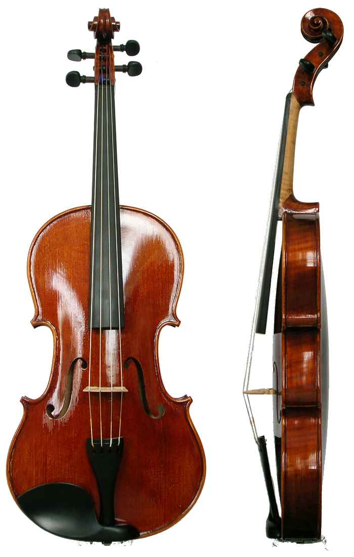 Viola_0
