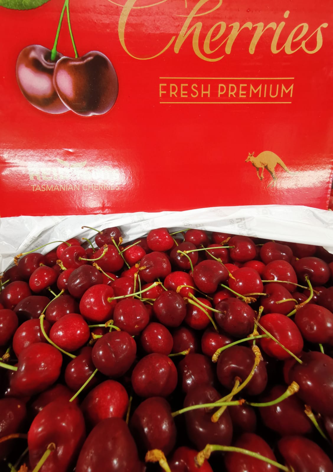 Tasmania Cherry (28+mm)_0