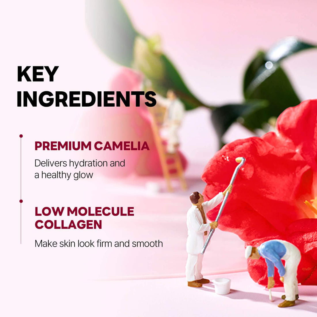 ROUND LAB Camellia Deep Collagen Gel Mask_3