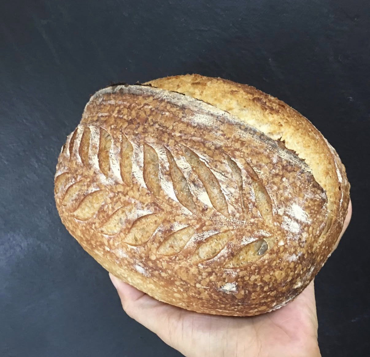 Sourdough Bread _0