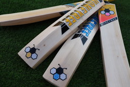 ENGLISH WILLOW CRICKET BATS