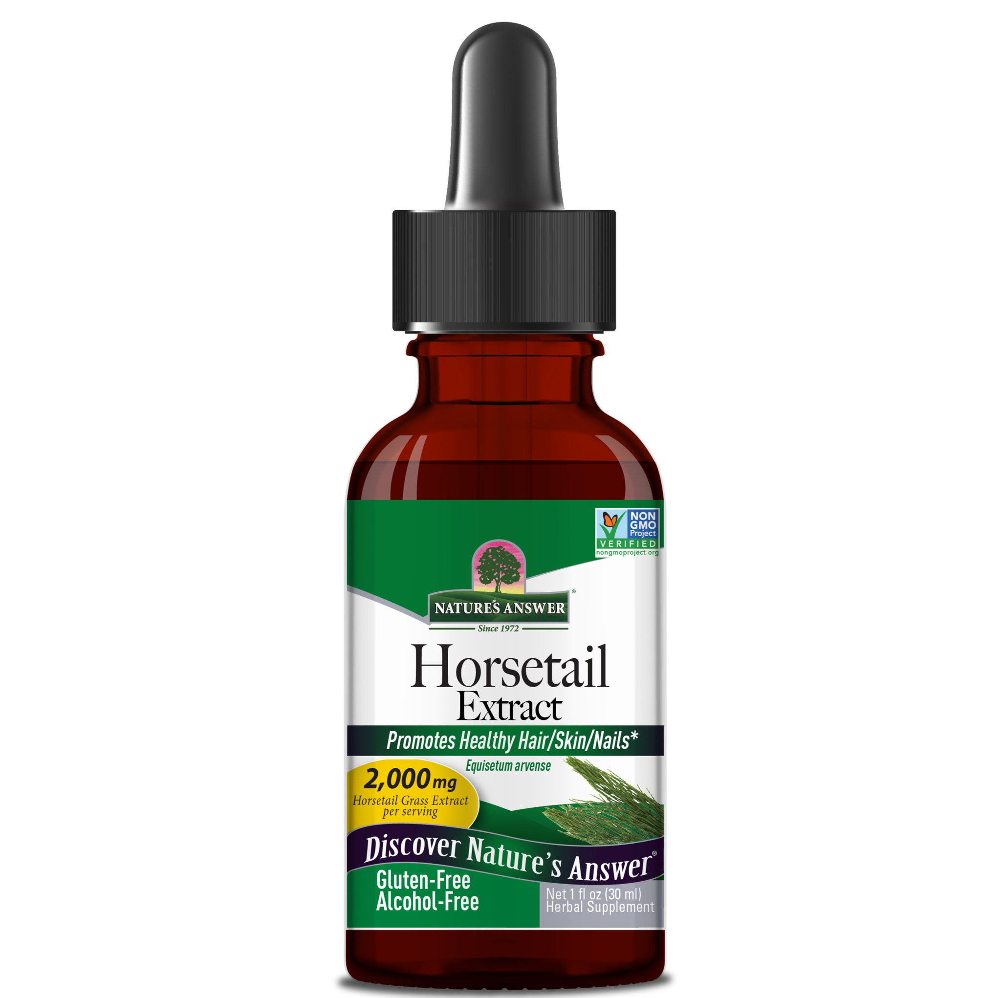 Nature's Answer - Horsetail Alcohol Free_0