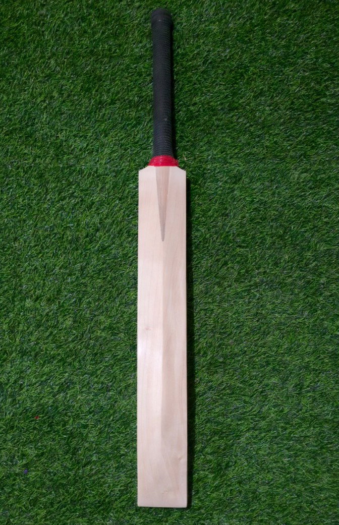 Middling Bat
