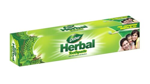 Dabur Herbal Ayurvedic Toothpaste 100g
