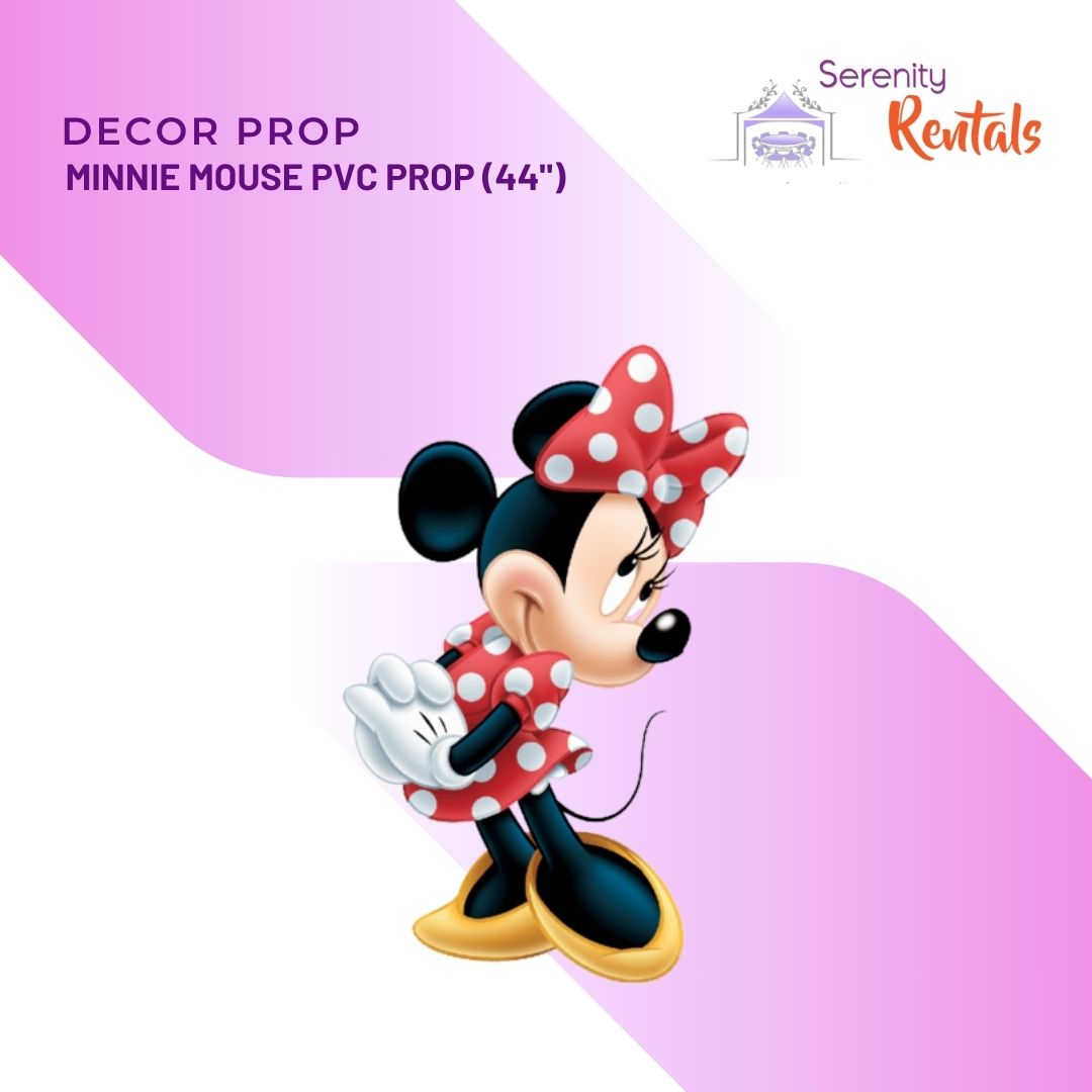 Mickey Mouse Club House Props_2