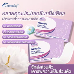 🆕 Cottonday แผ่นดูแลสมุนไพร Snow Lotus ขนาด 160 มม. 2 ชิ้น