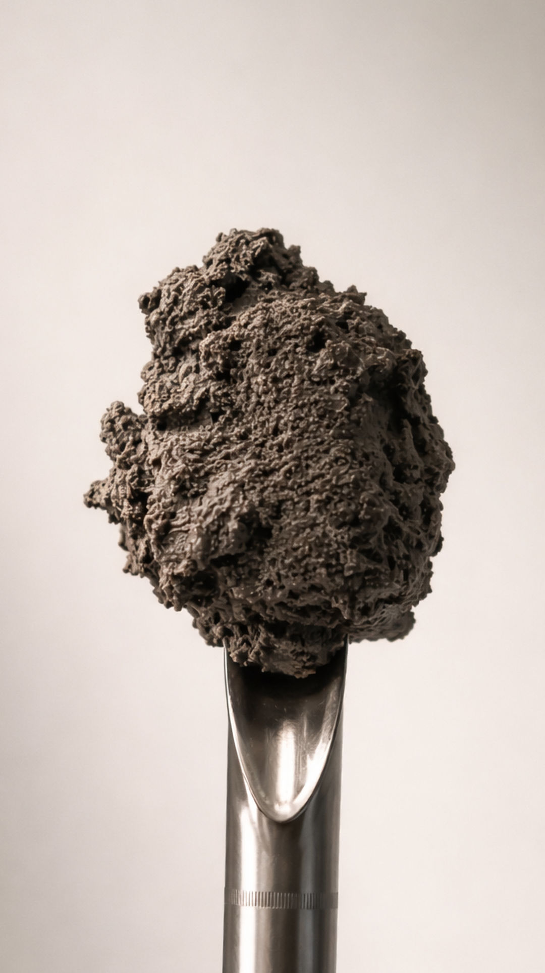 Kuro Goma Osmanthus 