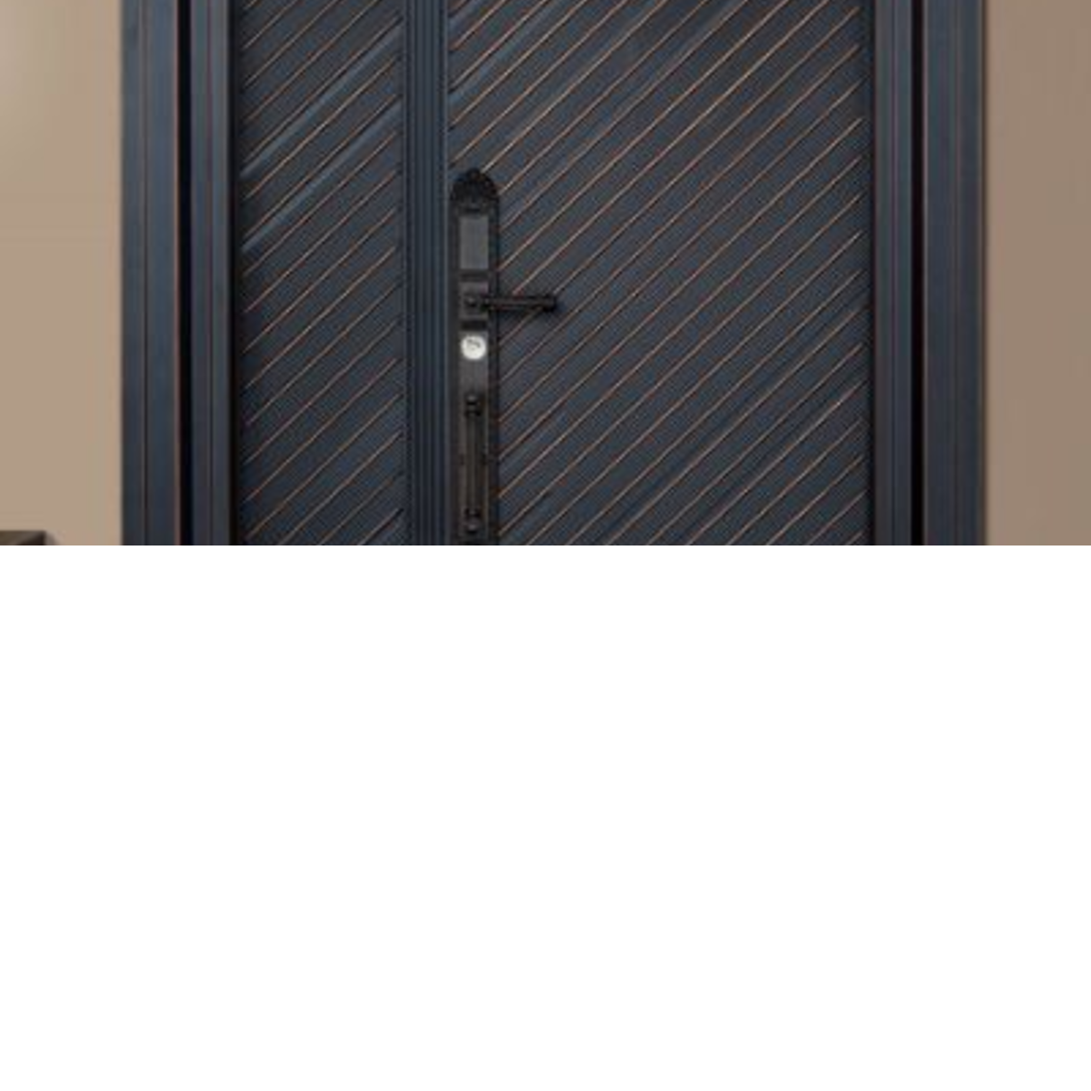 Premium Steel door_1