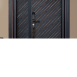 Premium Steel door