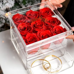 The Plexi box 