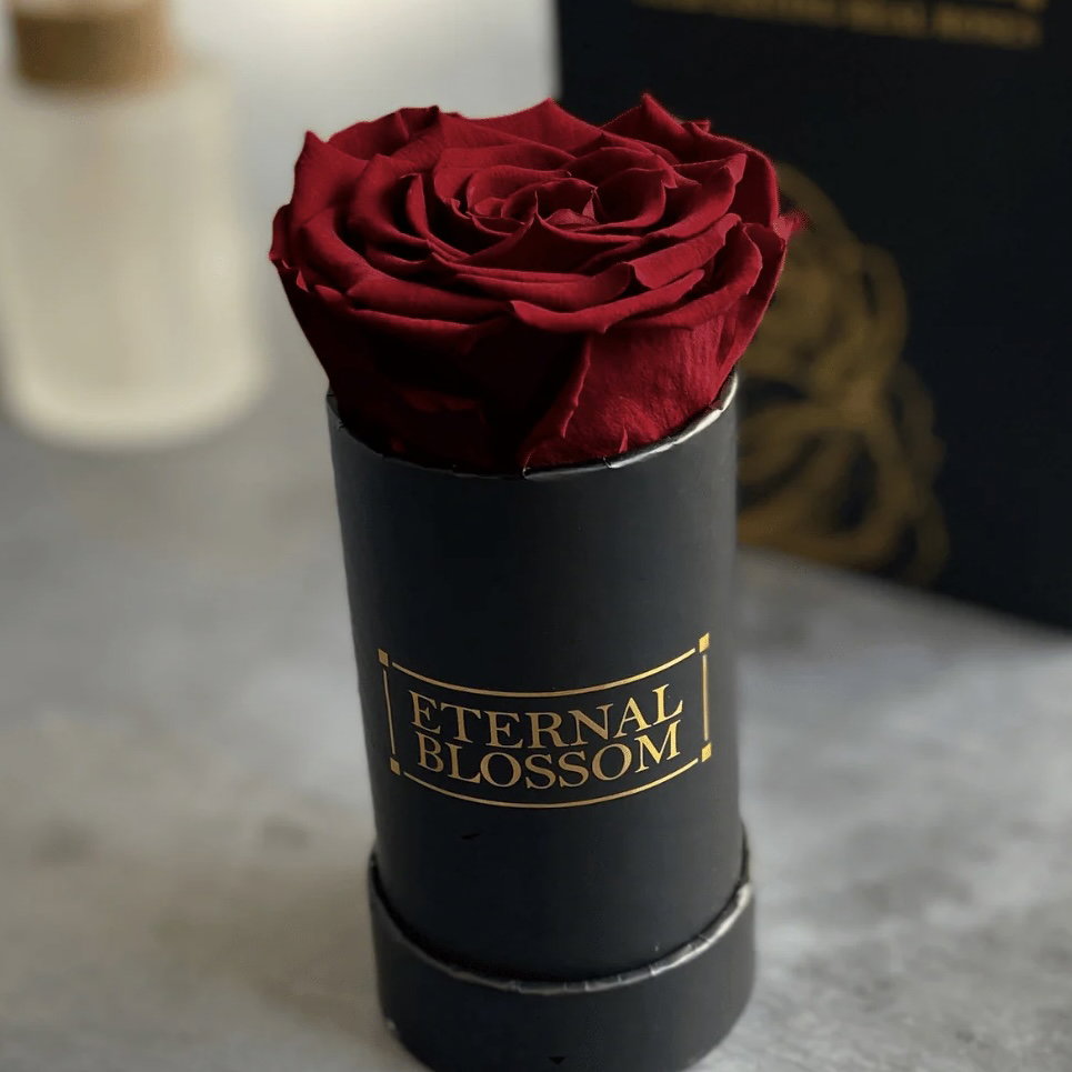 Single Mini Eternal Rose