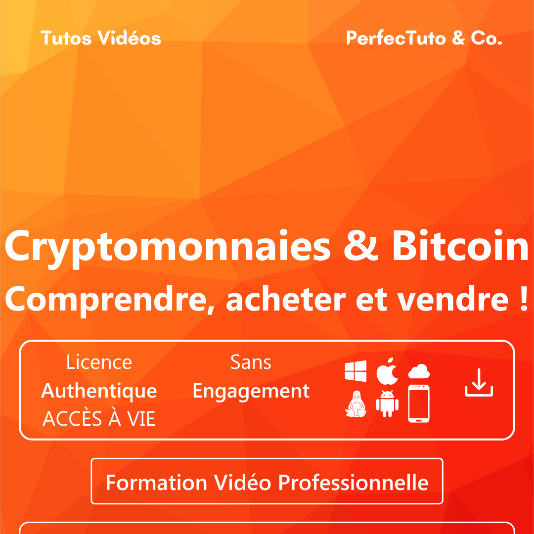 Cryptomonnaies & Bitcoin : comprendre, acheter et vendre !_1