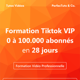 Formation Tiktok VIP : 0 à 100.000 abonnés en 28 jours