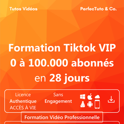 Formation Tiktok VIP : 0 à 100.000 abonnés en 28 jours
