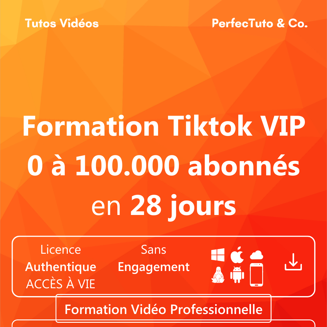 Formation Tiktok VIP : 0 à 100.000 abonnés en 28 jours_1