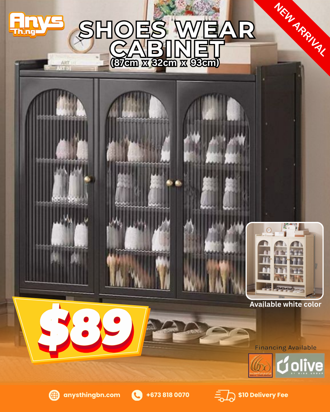 shoe wear cabinet_0