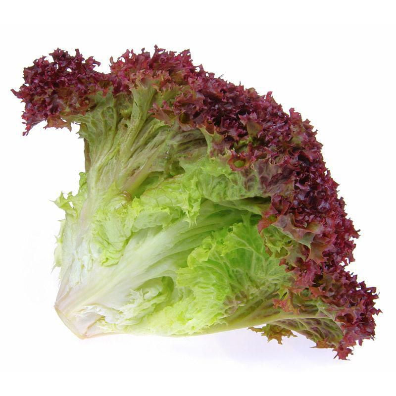 Lettuce ຜັກສະຫລັດ_3
