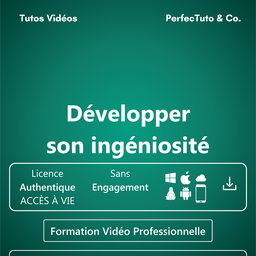 Développer son ingéniosité