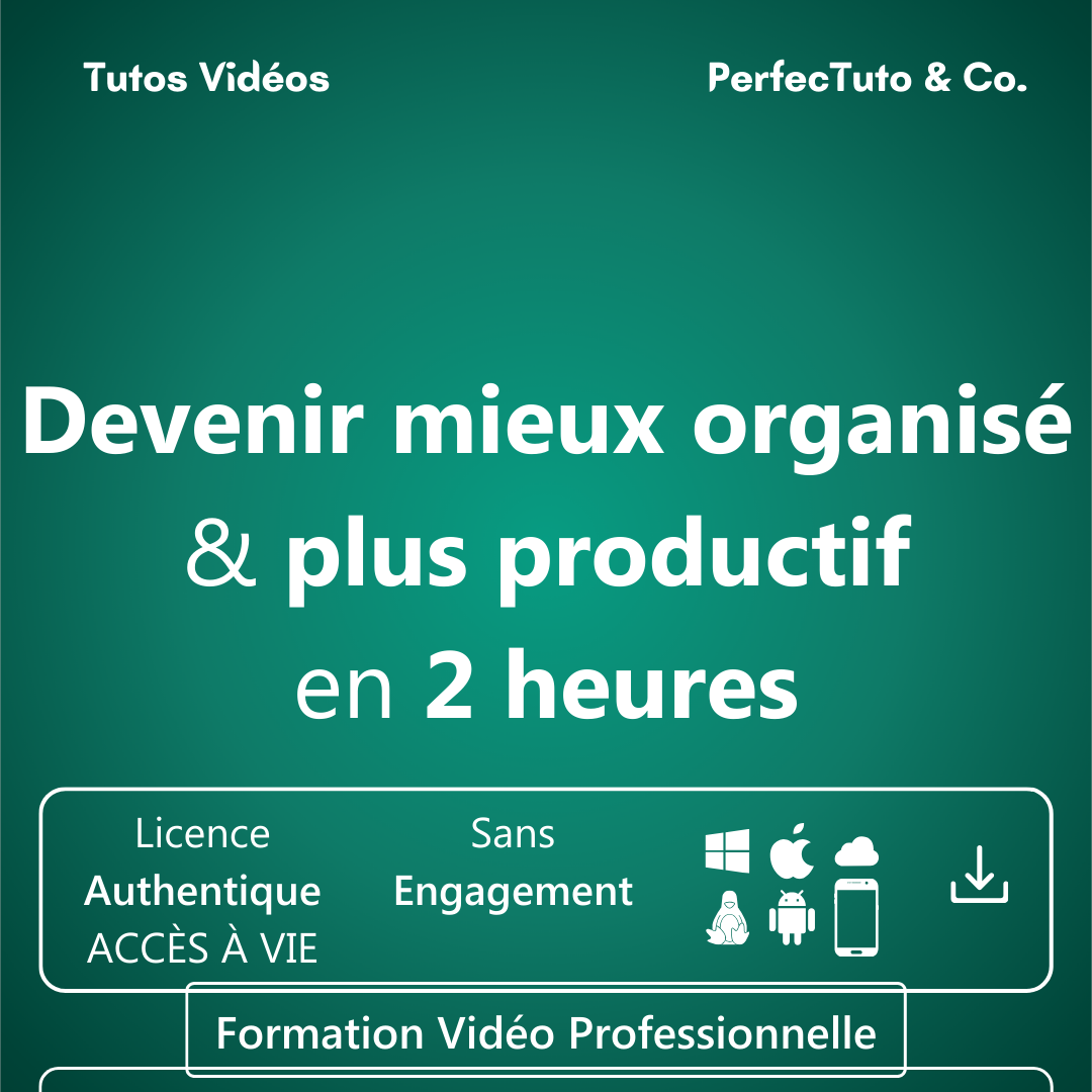 Devenir mieux organisé et plus productif en 2 heures_1