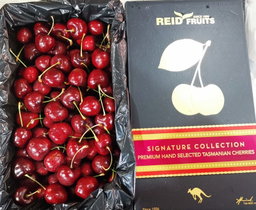 Tasmania Cherry 34+mm