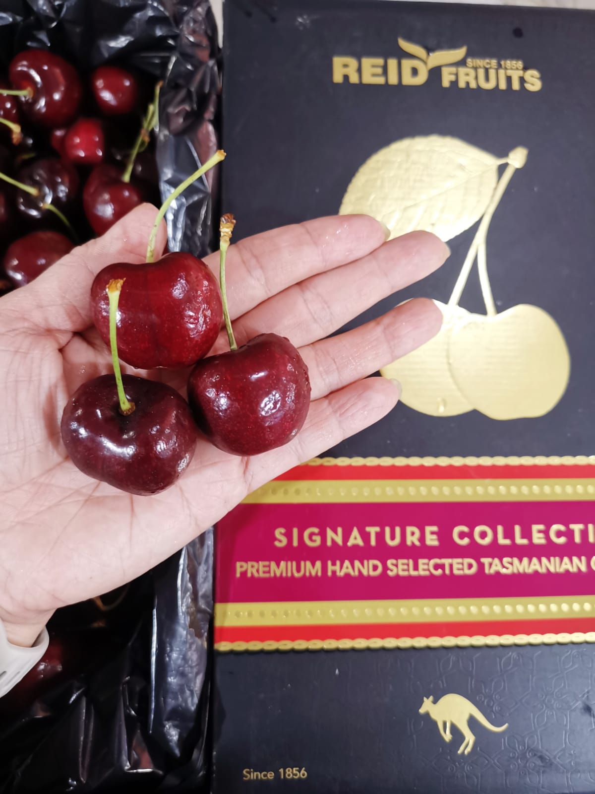 Tasmania Cherry 34+mm_1
