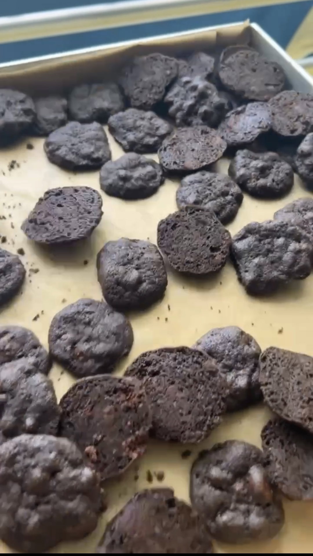 Double Chocolate, Chocolate Chip Cookies