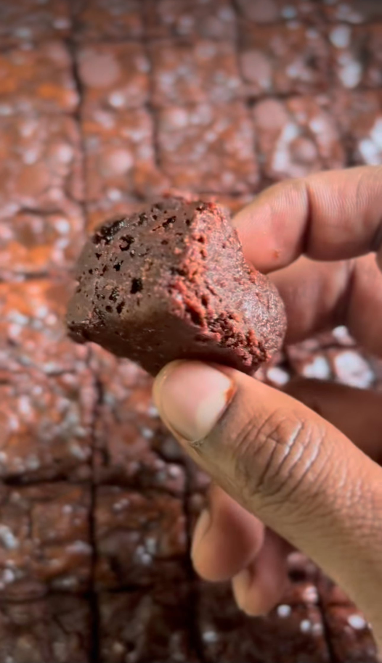 EGGLESS BROWNIES_0