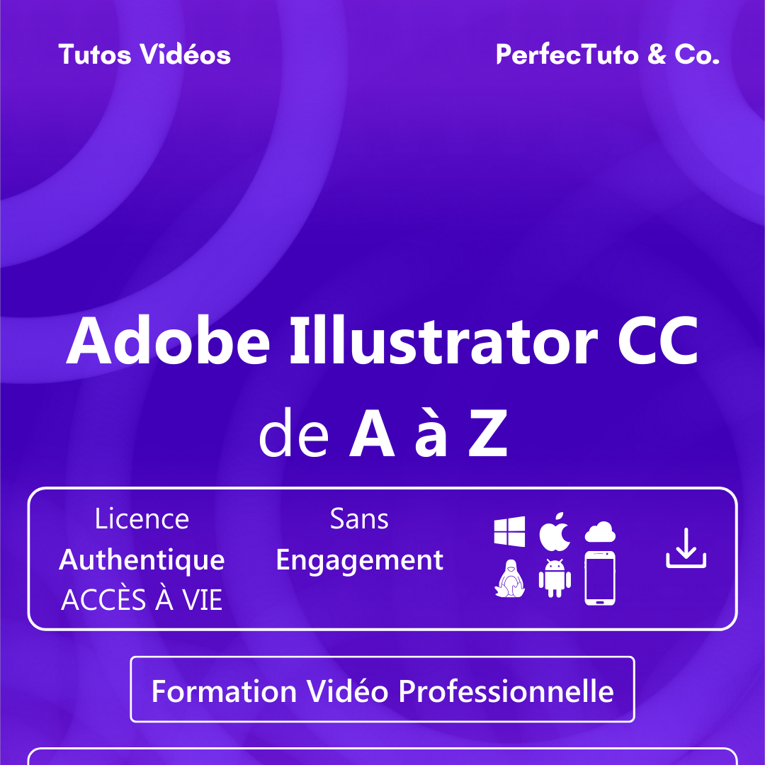 Adobe Illustrator CC de A à Z_1