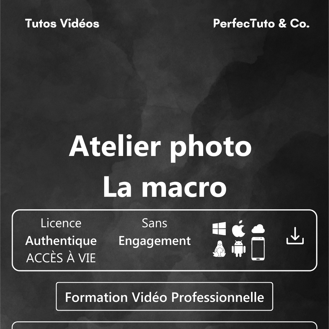 Atelier photo : La macro_1