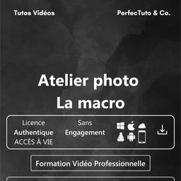 Atelier photo : La macro
