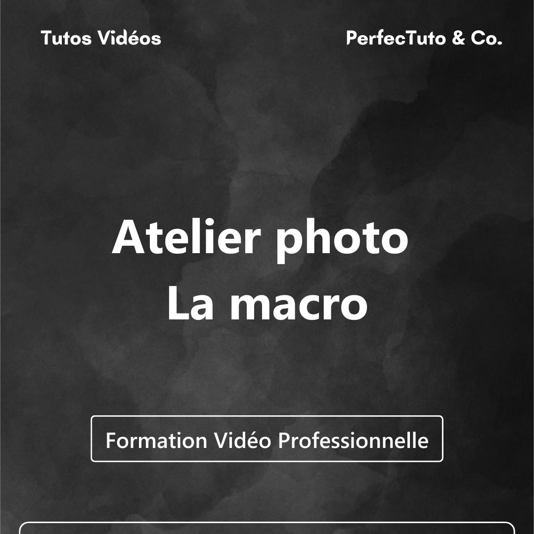 Atelier photo : La macro