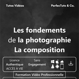 Les fondements de la photographie : La composition