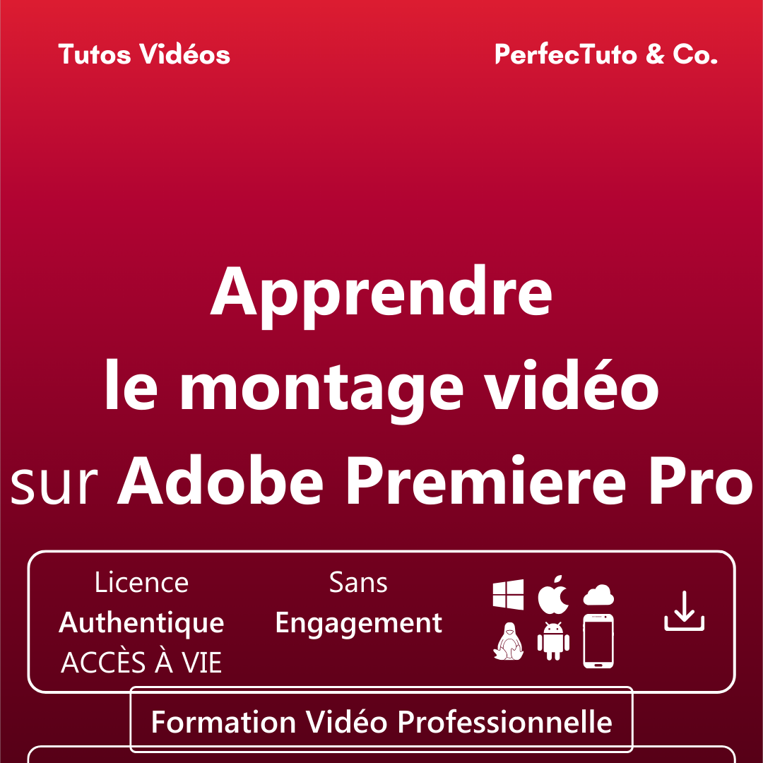 Apprendre le montage vidéo sur Adobe Premiere Pro_1