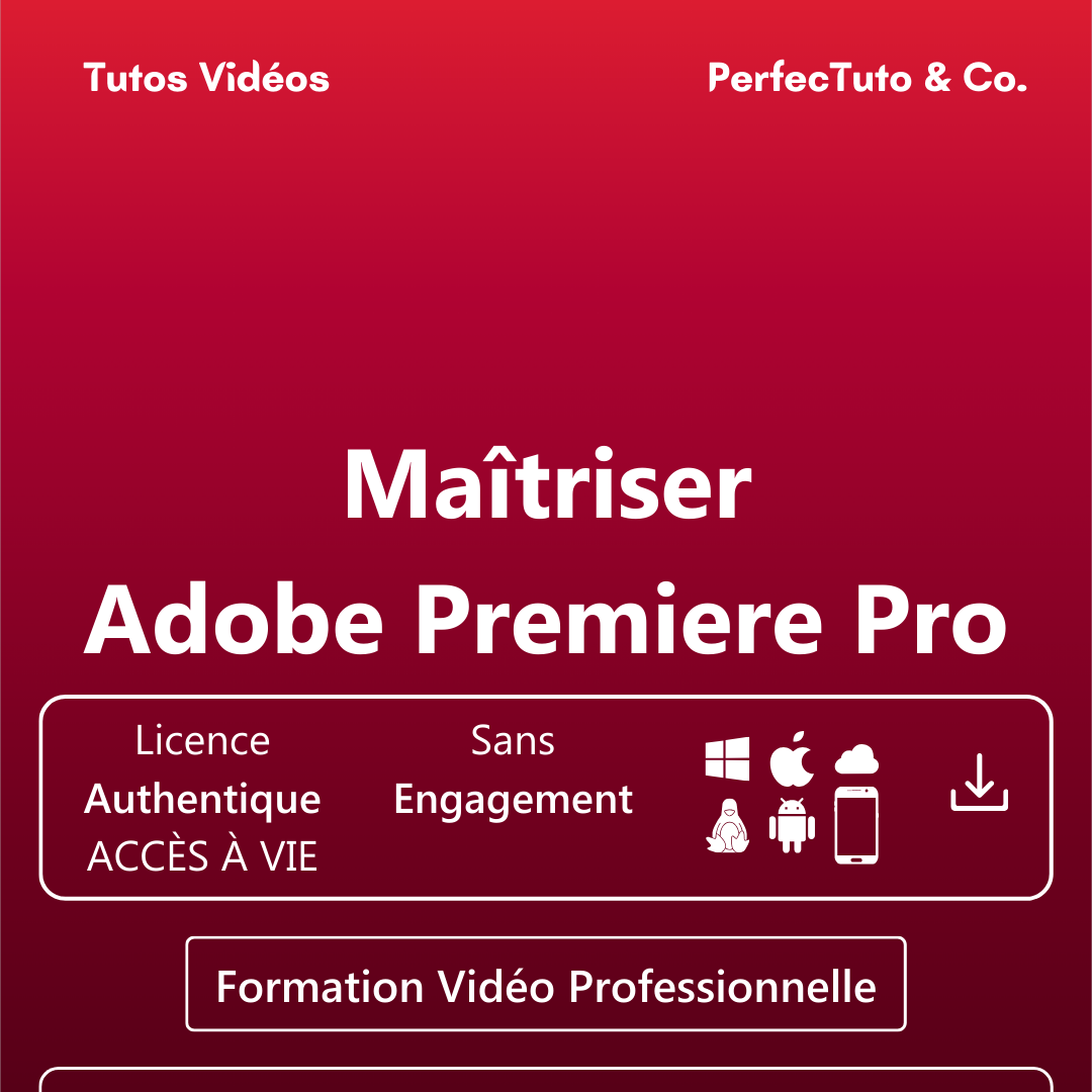 Maîtriser Adobe Premiere Pro_1
