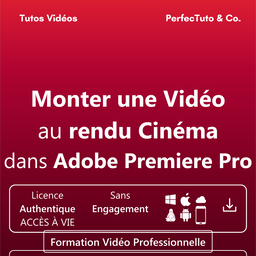 Monter une Vidéo au rendu Cinéma dans Adobe Premiere Pro