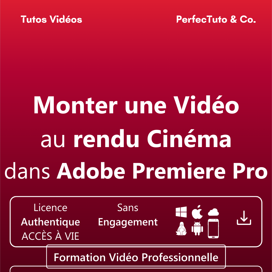 Monter une Vidéo au rendu Cinéma dans Adobe Premiere Pro_1