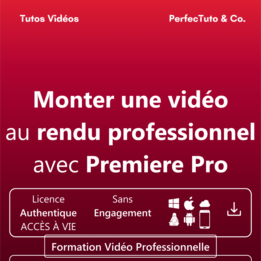 Monter une vidéo au rendu professionnel avec Premiere Pro_1