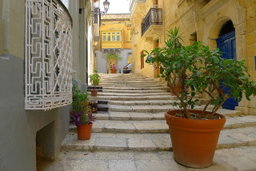 Private Full Day Tour