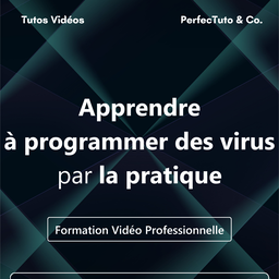 Apprendre à programmer des virus par la pratique