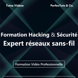 Formation Hacking et Sécurité : Expert réseaux sans-fil
