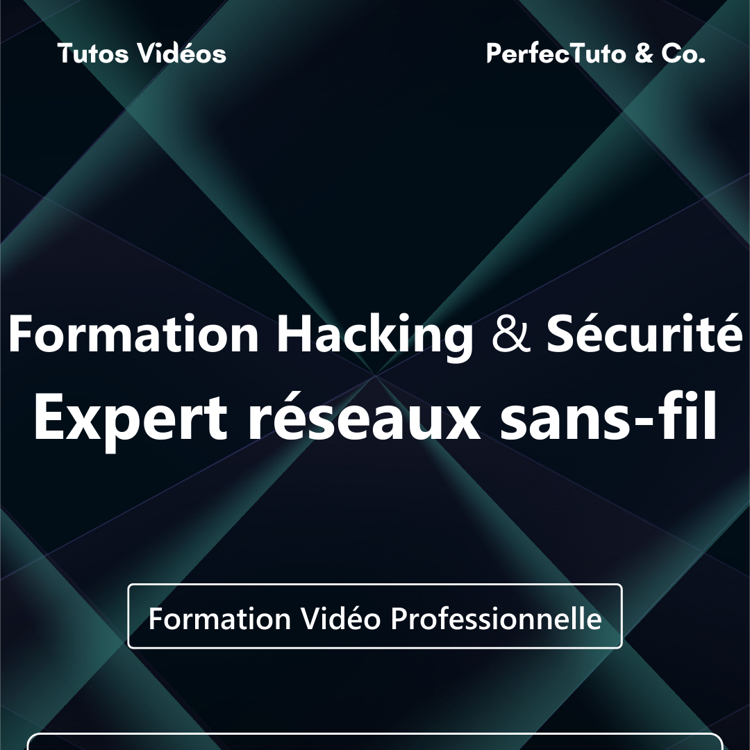 Formation Hacking et Sécurité : Expert réseaux sans-fil